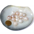 curve designer pearl ring