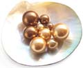 brown pearls in any sizes