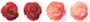 coral beads