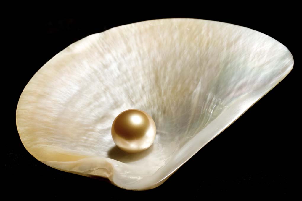 Freshwater Pearls Process & Production