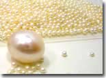 loosepearls_seed loosepearls_seed