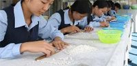 pearl-grading