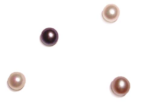 Mauve, Chocolate and Black 4-5mm AAA Quality Button Pearl , Half Drilled