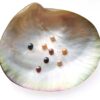 White, Pink, Mauve, Chocolate and Black 4-5mm AAA Quality Button Pearl , Half Drilled