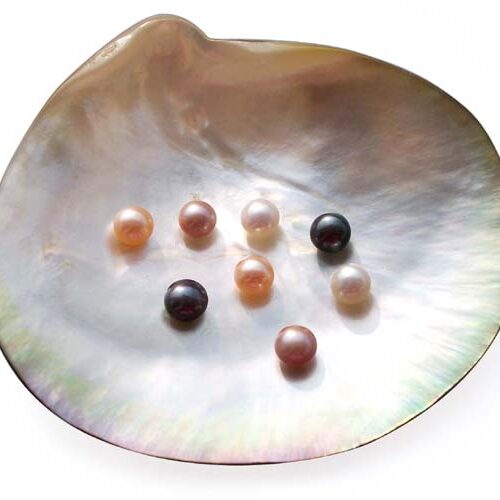 White, Pink, Mauve and Black 5-6mm AAA Quality Button Pearl, Half Drilled