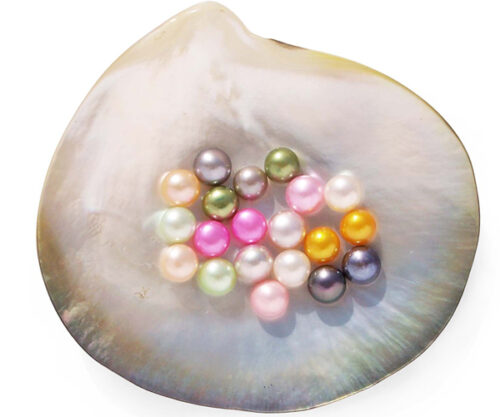 Pink, Mauve, Black, Baby Pink, Peacock Green, Grey, Chocolate, Hot Pink, Gold and Light Green 6-7mm Half-Drilled AA Button Pearl
