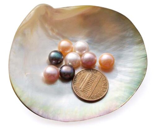 White, Pink, Pale Pink, Mauve, Lavender and Black 8-9mm AAA Quality Button Pearl, Half Drilled