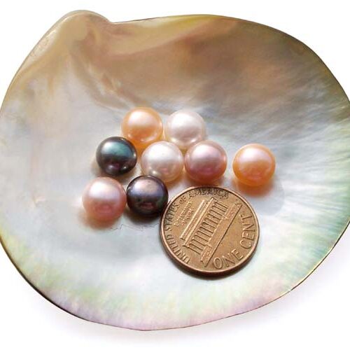 White, Pink, Pale Pink, Mauve, Lavender and Black 8-9mm AAA Quality Button Pearl, Half Drilled