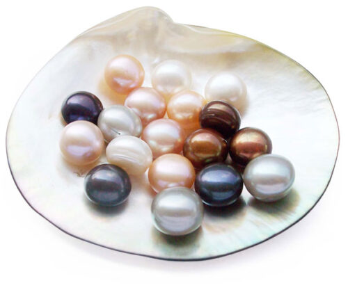 Black, White, Pink and Chocolate 10-11mm AA Quality Button Pearl, Half-Drilled
