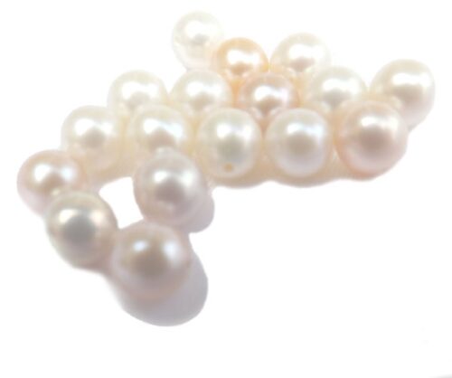 6-6.5mm Single AA+ Round Pearl in White Pink and Mauve Half Drilled