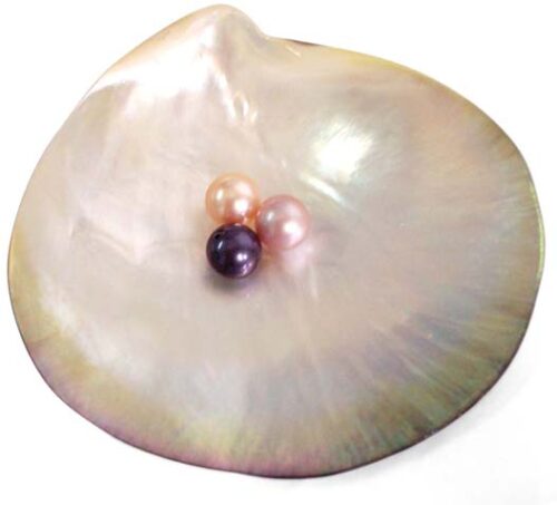 Pink, Mauve and Black 8-8.5mm Loose AA+ Round Pearl, Undrilled or Half Drilled