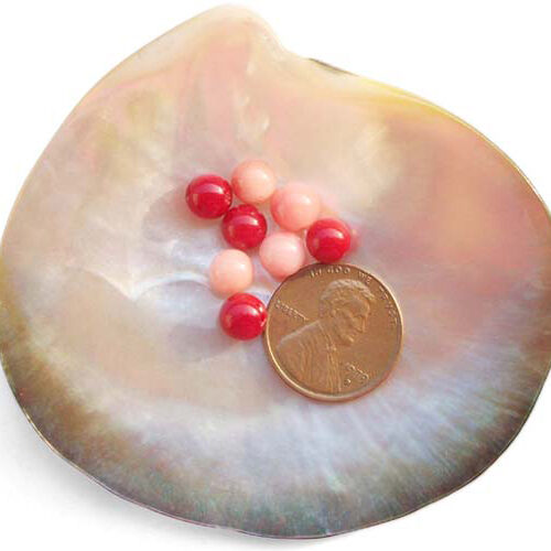Red and Light Pink 6-7mm Half-Drilled Round Coral Bead