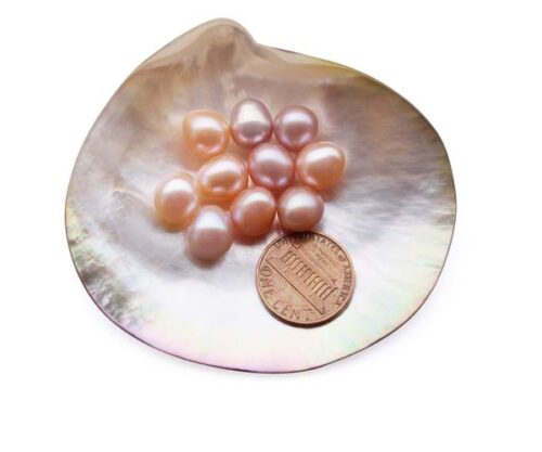 Pink, Lavender and Mauve 9-10.5mm Loose AAA Drop Pearl, Undrilled or Half-Drilled