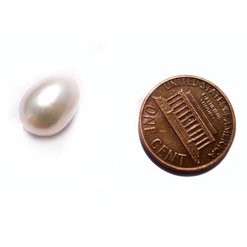 9.5-11mm Loose AAA Drop Pearl Undrilled or Half-Drilled