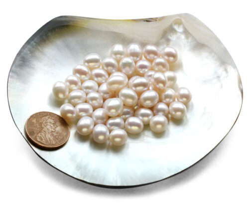 White Drop Pearls