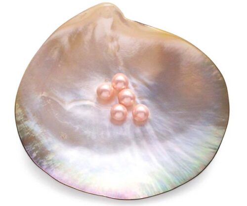 Pale Pink 6mm Round AAAA SSS Pearls, Half Drilled