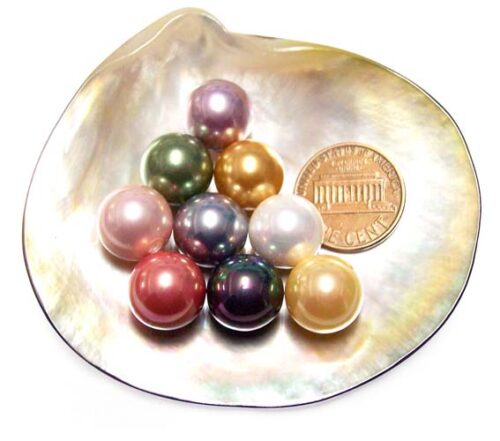 Cranberry, White, Peacock Black, Gold, Champagne, Grey, Peacock Green, Rose Pink, Pale Pink, Mauve, Chocolate, and Tahitian Black 12mm Round AAAA SSS Pearl, Half Drilled