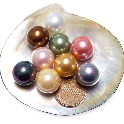 White, Peacock Black, Gold, Grey, Peacock Green, Rose Pink, Pale Pink, Chocolate and Tahitian Black 14mm Round AAAA SSS Pearl, Half Drilled
