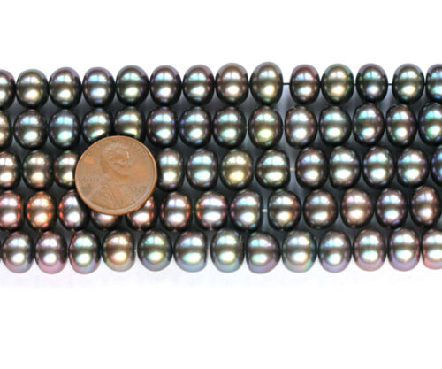 Large 10-11mm Button Pearl Strand in Black Color
