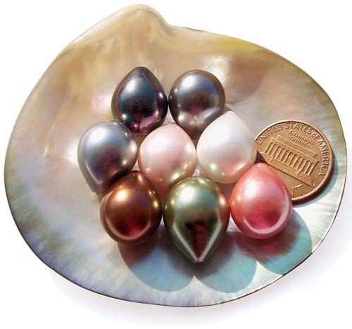 Grey, Black, Pink, Chocolate, White, Baby Pink and Peacock Green 13x16mm Drop Shaped SSS Pearl, Half Drilled