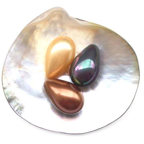Pink, Black and Chocolate 16x25mm Drop Shaped Southsea Shell Pearl, Half Drilled