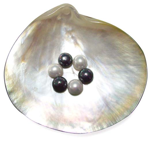 Half pearls dark silver grey - HALF PEARLS