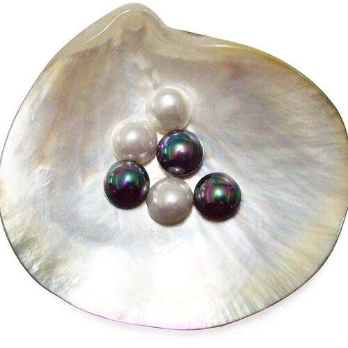 10mm Mabe Shaped Southsea Shell Pearls in White Half-drilled