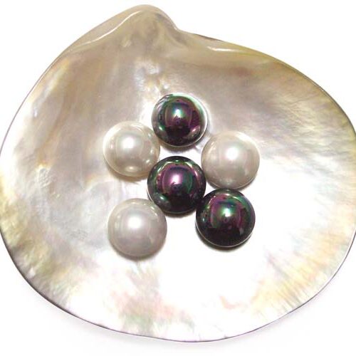 Black and White 12mm Mabe Shaped SSS Pearls, Half-drilled