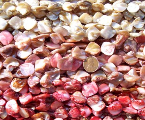 Biege, Pink and Red Irregular Mother of Pearl Strands