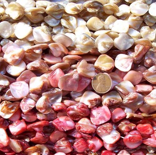 Biege, Pink and Red Irregular Mother of Pearl Strands