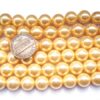 Gold 10mm South Sea Shell Pearl Strands