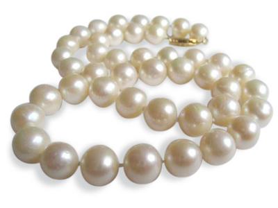 9.5-10.5 mm 16 inch AAA Pink to Peach Freshwater Pearl Necklace 14K White Gold Matte by Pearl Paradise