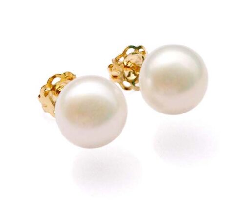 White 6-6.5mm AAA Pearl Earrings, 14K YG