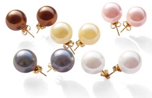 Chocolate, Champagne, Pale Pink, Grey and White 10mm or 12mm Southsea Shell Pearl Stud Earrings in 14k YG