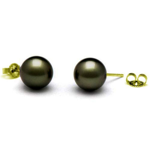 11-11.5mm Round Tahitian Pearl Studs Earrings, 14K Yellow or White Gold
