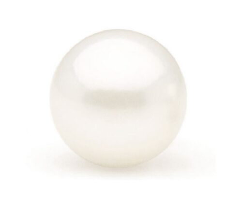 12-12.5mm Large AAA High Quality button Pearl, Half-Drilled
