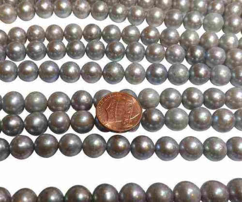 10-11mm Freshwater A Quality Gray Colored Round Pearl Strand