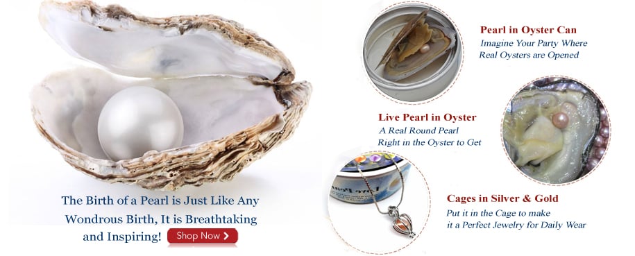 pearls in oysters pearls in oysters