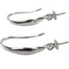 Silver danging earrings setting