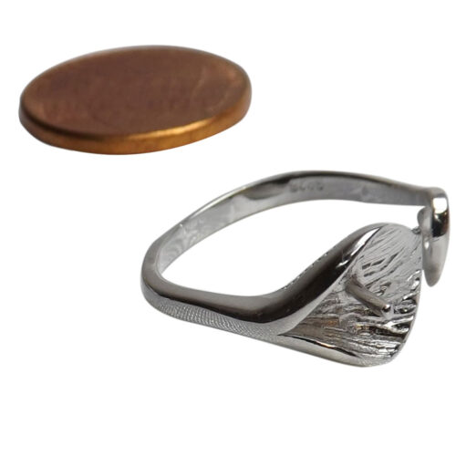 Silver Adjustable Sized Ring Setting
