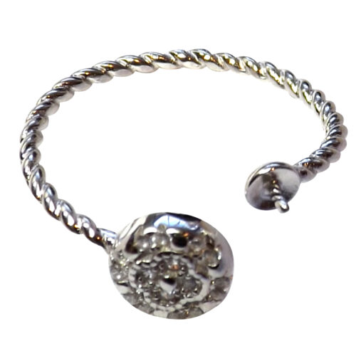 Silver Adjustable Ring Mounting