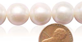 Large 12-13mm Round Pearls on Temporary Strand
