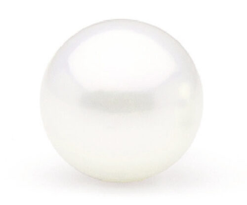 Undrilled AAA 14mm white Edison pearl