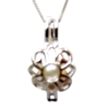 silver pearl cage
