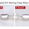 silver clasp