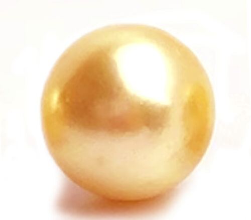 15mm Deep Gold South Sea Single Loose Pearl