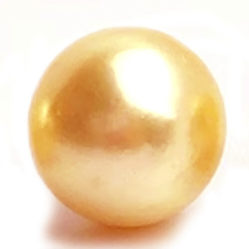 15mm Deep Gold South Sea Single Loose Pearl