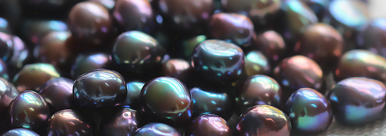 pearls clearance sale