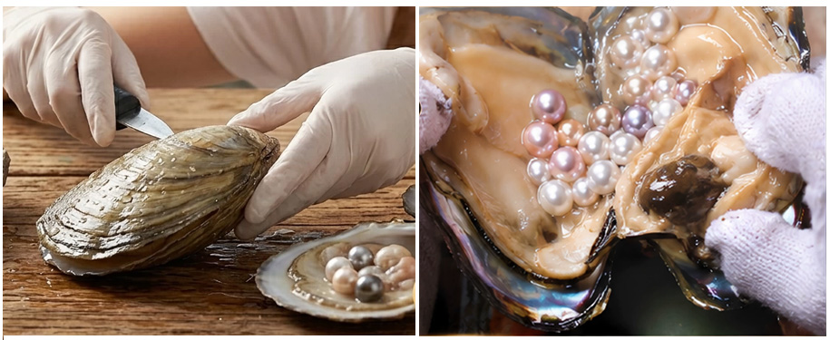 Just For Party – A Preserved Oyster with A Genuine Round Pearl Inside