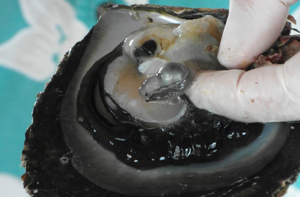 Formation of a Pearls